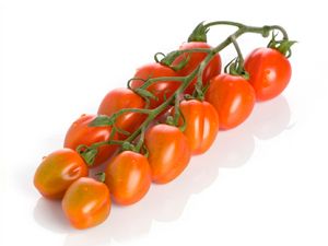 Tomate Cherry- Pera vivero A Angustia